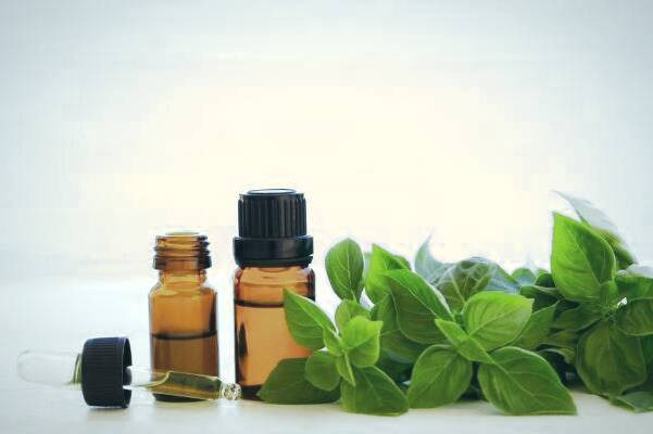 خواص روغن ریحان برای سلامتی کاربرد روغن ریحان