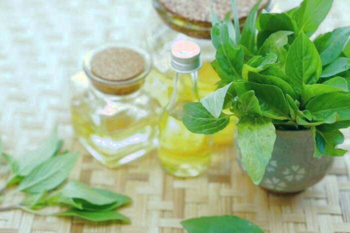 خواص درمانی روغن ریحان روغن ریحان