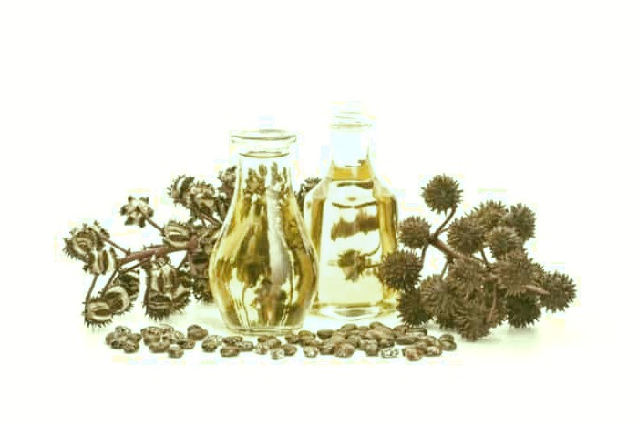 روغن کرچک برای تقویت مژه روغن کرچک