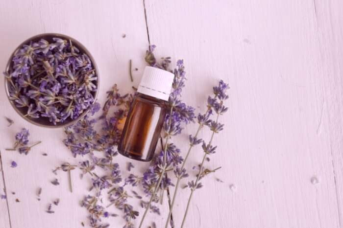 طرز تهیه روغن اسطوخودوس تهیه روغن اسطوخودوس