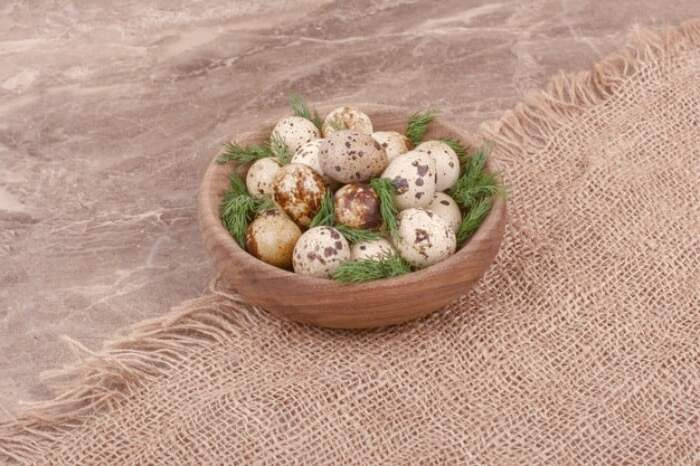 فواید تخم بلدرچین برای کودکان تخم بلدرچین برای کودکان