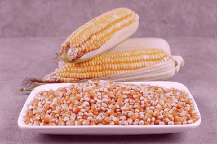 فواید روغن ذرت برای پوست روغن ذرت