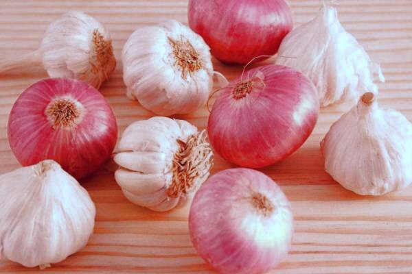 خواص موسیر برای دیابت موسیر برای دیابت