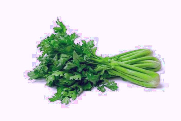 کرفس برای لاغری کرفس و لاغری
