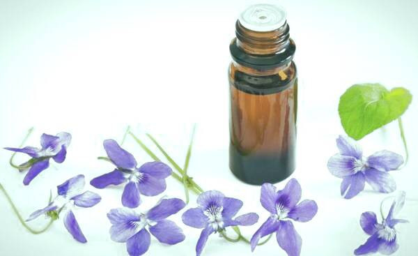 فواید و مزایای روغن بنفشه روغن بنفشه