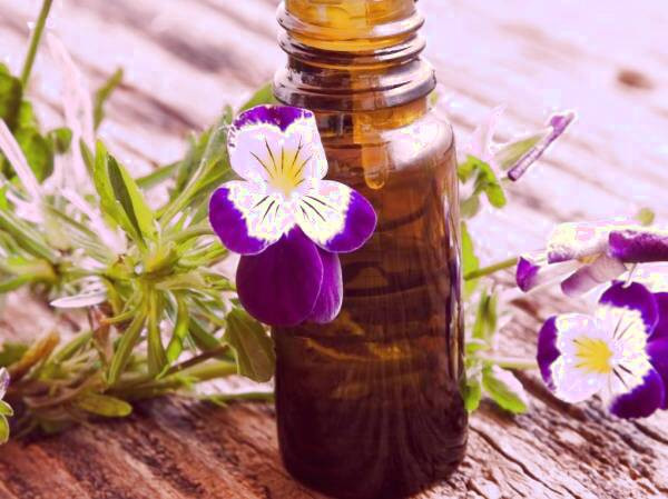 راه های استفاده از روغن بنفشه روش استفاده روغن بنفشه