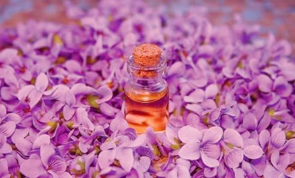فواید روغن بنفشه برای پوست خواص روغن بنفشه