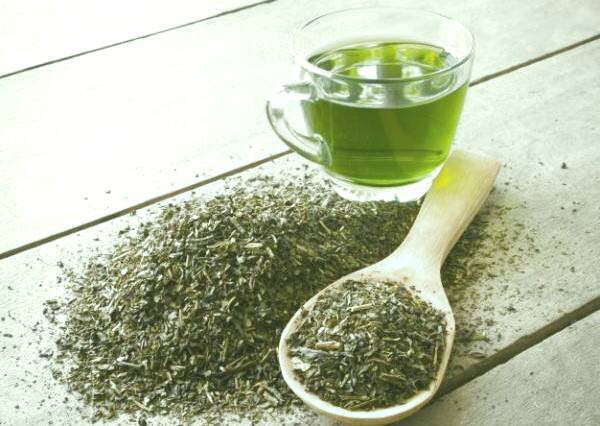 درمان بوی بد دهان در طب سنتی چای سبز