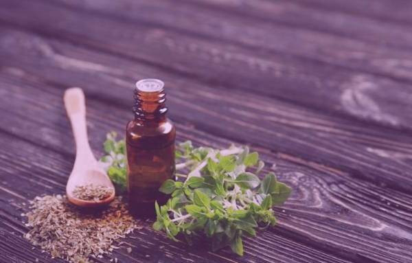 فواید روغن پونه کوهی