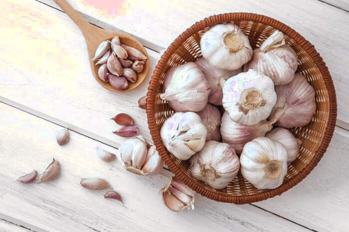 سیر برای جوش