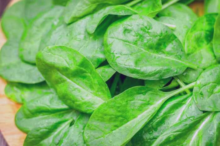 تغذیه آرتروز زانو