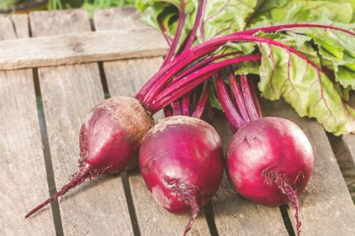 برگ چغندر برای نیش برگ چغندر
