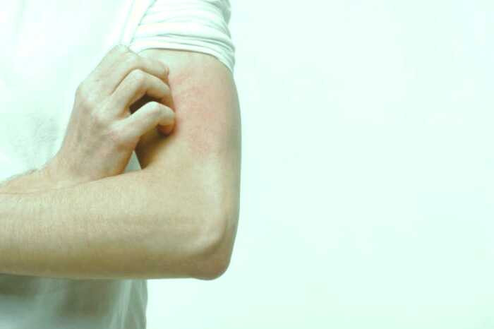 فواید گیاه دم اسبی برای سلامتی فواید گیاه دم اسبی