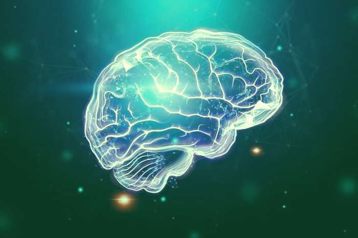 فواید گیاه دم اسبی برای سلامتی فواید گیاه دم اسبی