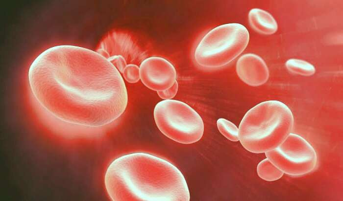 بهبود گردش خون