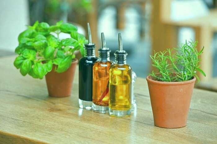 شپش موی سر چیست 