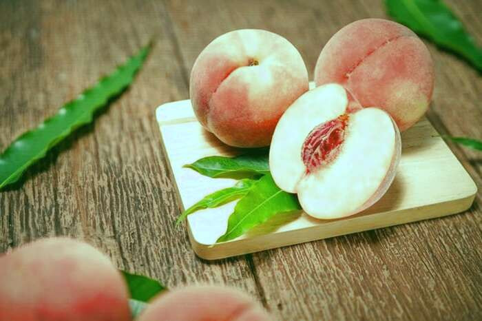 غذا های الوده،مضرات غذاهای مصرفی الوده،باکتری های موجود در غذا های مصرفی،