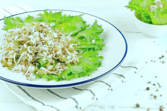 غذا های الوده،مضرات غذاهای مصرفی الوده،باکتری های موجود در غذا های مصرفی،