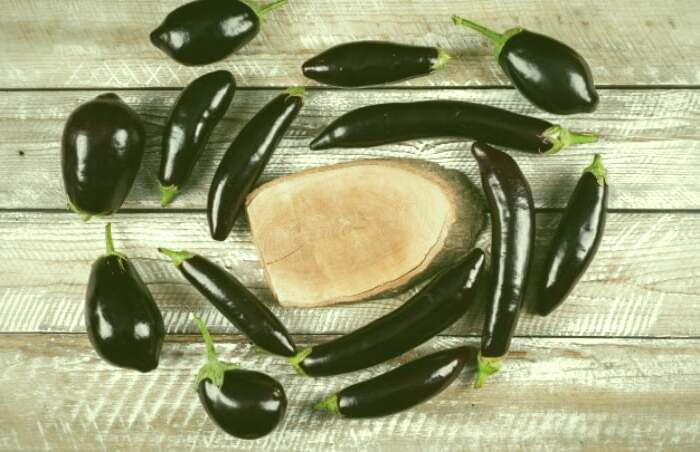 حقایقی مهم درباره پوست بادمجان پوست بادمجان