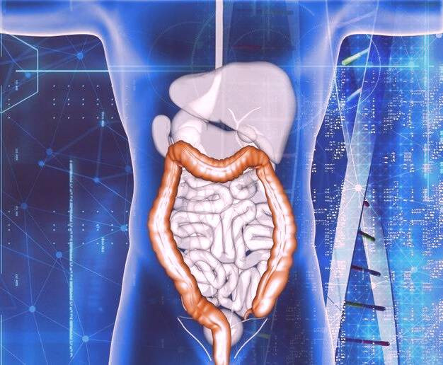 سلامت روده برای جوان ماندن سلامت روده