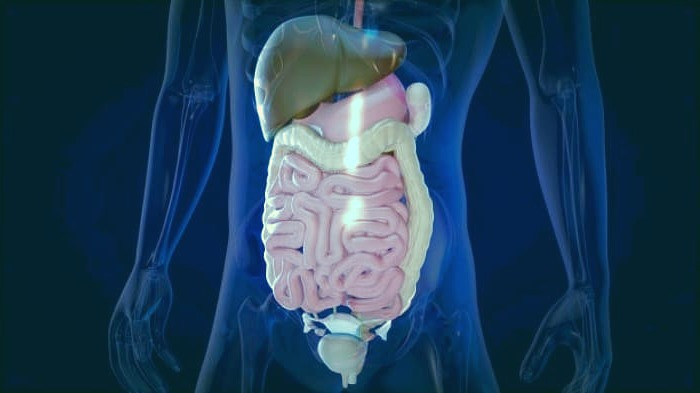 پاکسازی دستگاه گوارش ضد عفونی روده