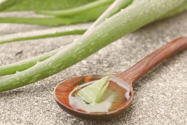 ماسک آلوئه ورا با عسل و لیمو ماسک آلوئه ورا