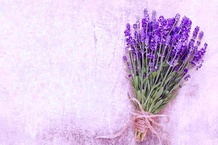 روش های سریع درمان آلرژی با روغن اسطوخودوس درمان سریع آلرژی