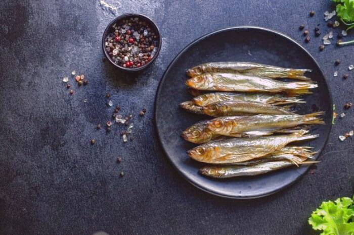 ماهی ساردین و ماهی تن