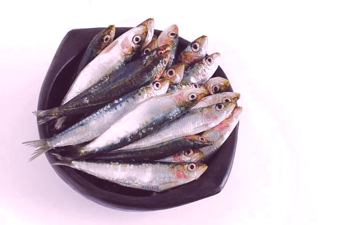 فواید ماهی ساردین