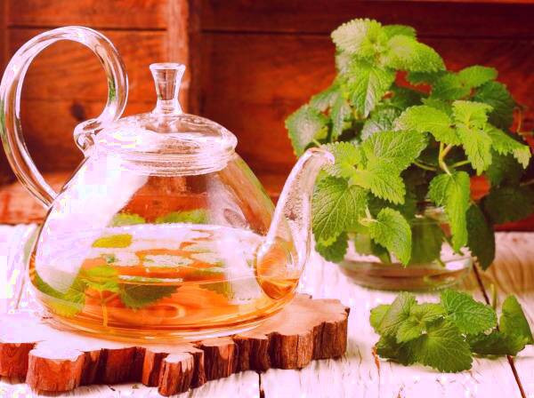 دمنوش بادرنجبویه