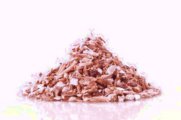 ریشه آنجلیکا