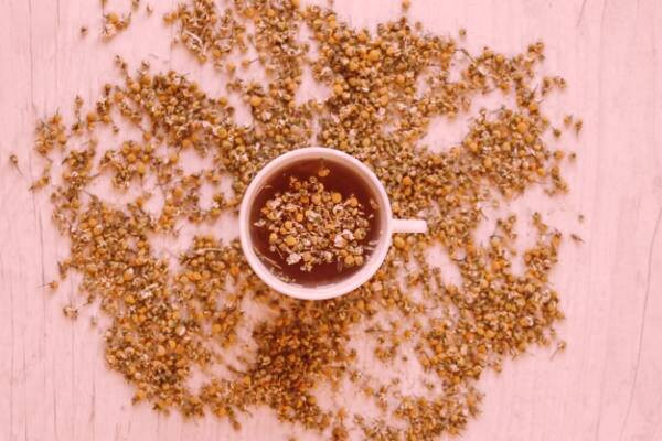 دمنوش بابونه