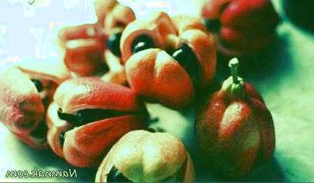 غداهای خارجی که خوردنشان ریسک دارد