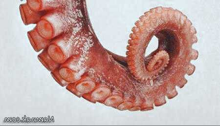 غذاهای خارجی خوشمزه