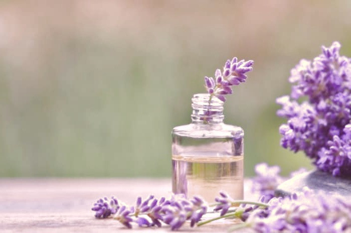 روغن لاوندر