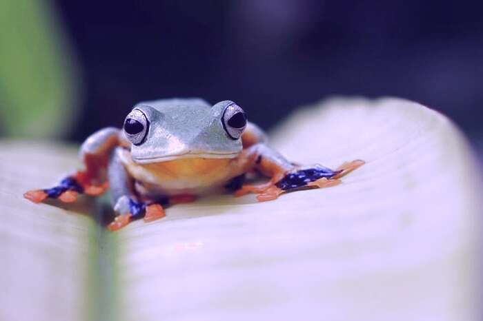 درمان های خانگی