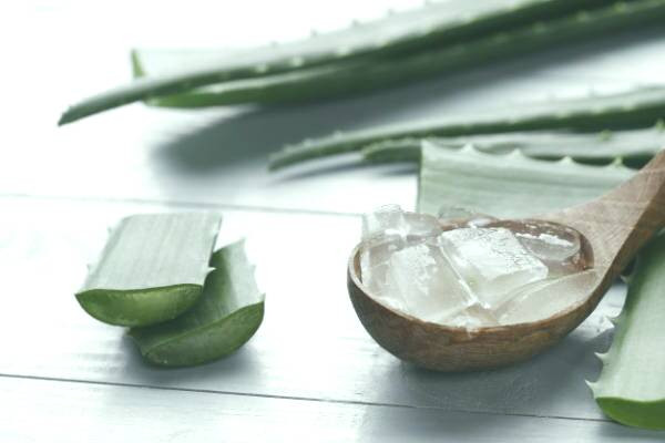 ژل آلوئه ورا