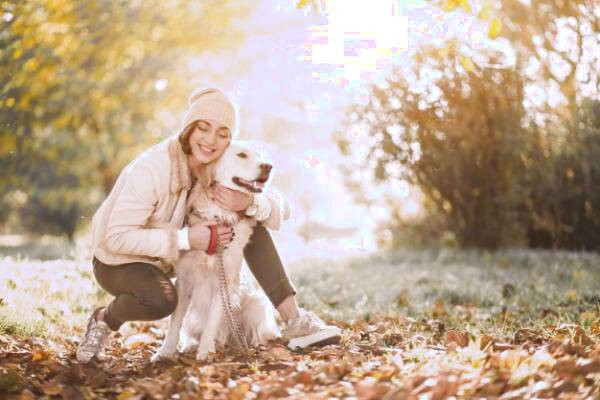 حیوانات خانگی