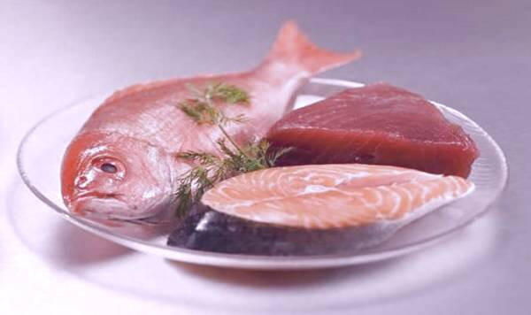 ماهی برای مغز