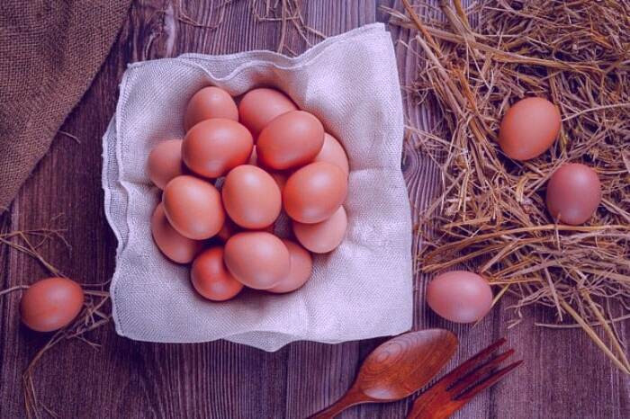 مصرف تخم مرغ