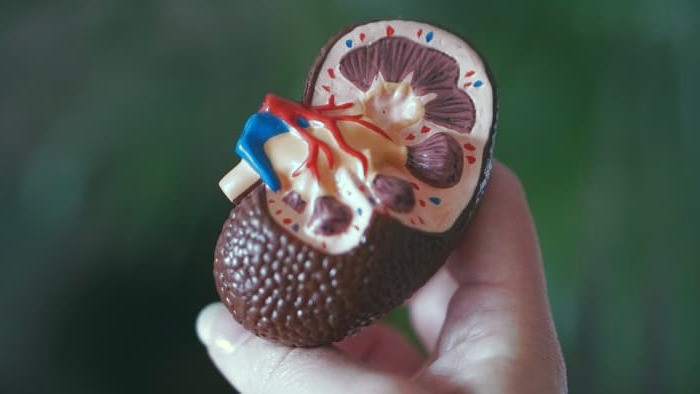 بیماری های کلیوی