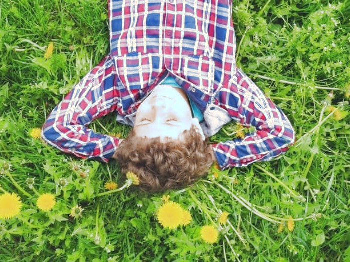 خواب در جنگل