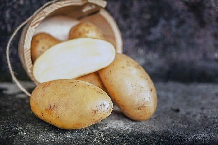 مضرات سیب زمینی و نگهداری سیب زمینی