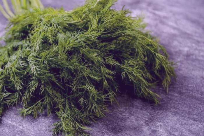 شوید برای دیابت