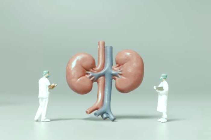 پاکسازی کلیه 