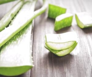 بهبود علائم سرفه کودکان با نکتار آگاو