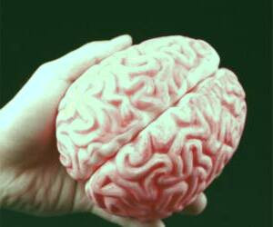 عوامل و نشانه‌های سکته مغزی و راهکارهای درمان و پیشگیری