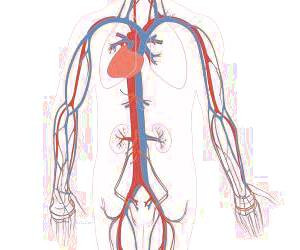 این نشانه های ضعف گردش خون + عوامل مؤثر