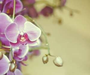 نکات کلیدی برای تبدیل شدن به زیباترین فرد