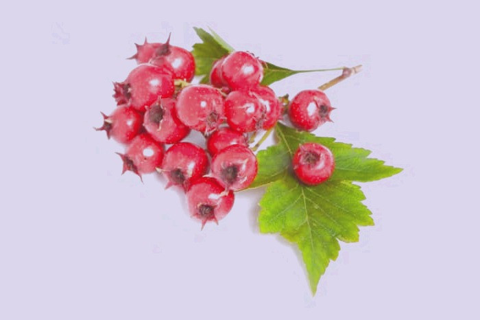 نحوه درمان فشارخون